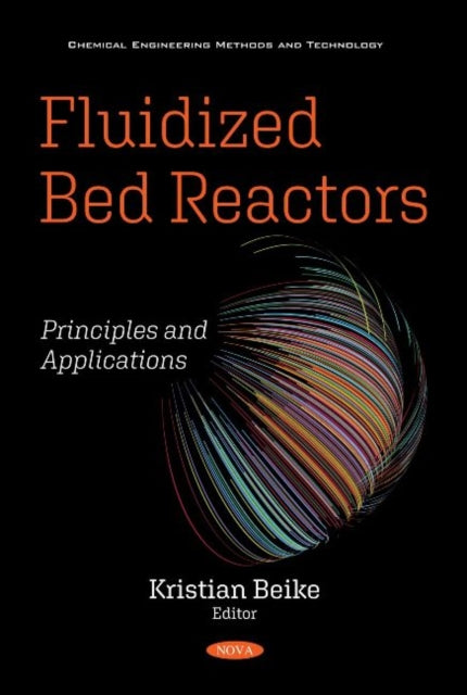 Book cover of: Fluidized Bed Reactors. By: Kristian Beike