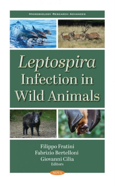 Book cover of: Leptospira Infection in Wild Animals. By: Filippo Fratini