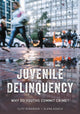 Book cover of: Juvenile Delinquency. By: Azaola ROBERSON