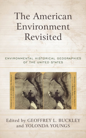 American Environment Revisited