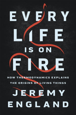 Every Life Is On Fire