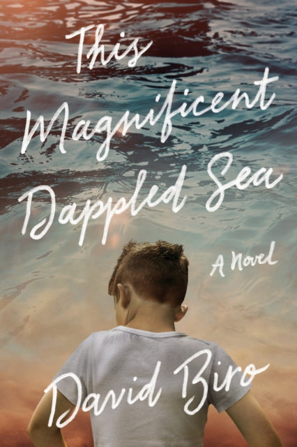 Book cover of: This Magnificent Dappled Sea. By: David Biro