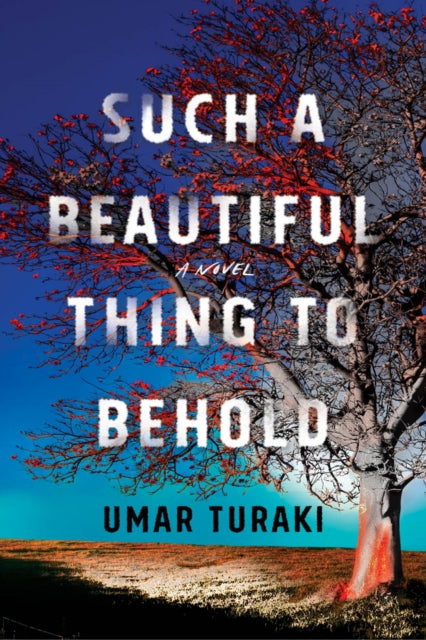 Book cover of: Such a Beautiful Thing to Behold. By: Umar Turaki