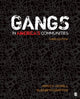 Book cover of: Gangs in America's Communities. By: Howell, James C.