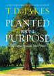 Book cover of: Planted with a Purpose