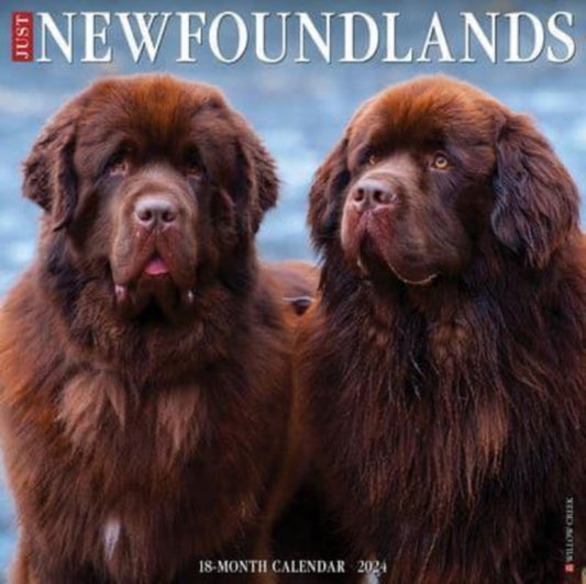 Book cover of: Just Newfoundlands 2024 12 X 12 Wall Calendar