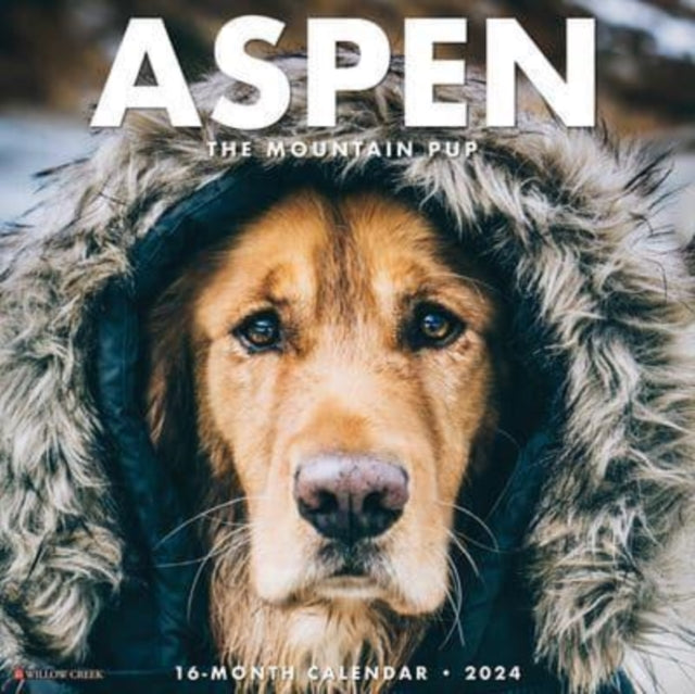 Book cover of: Aspen the Mountain Pup 2024 12 X 12 Wall Calendar