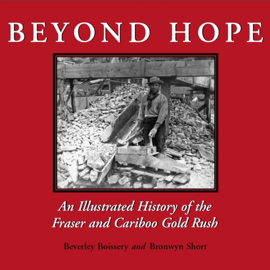 Book cover of: Beyond Hope