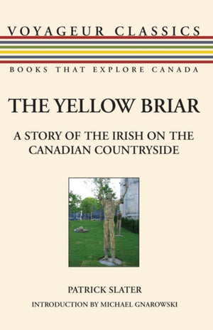 Yellow Briar
