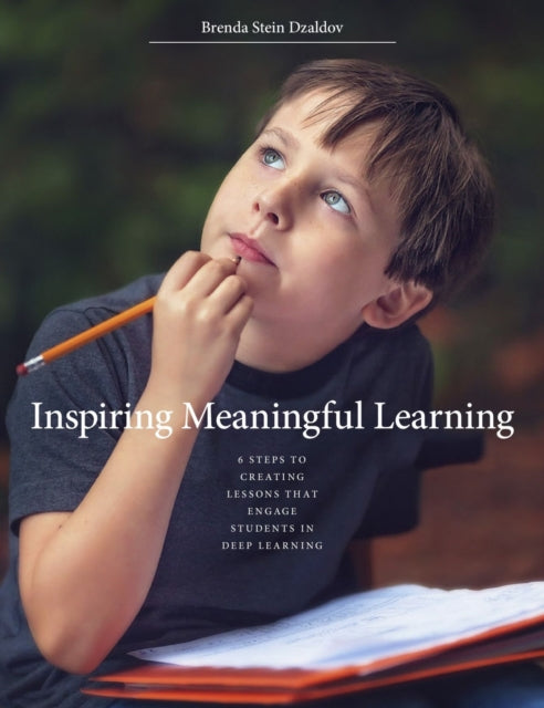 Book cover of: Inspiring Meaningful Learning. By: Brenda Stein Dzaldov