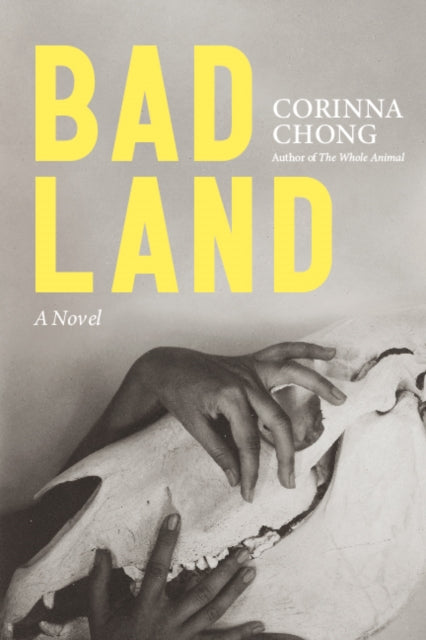 Book cover of: Bad Land