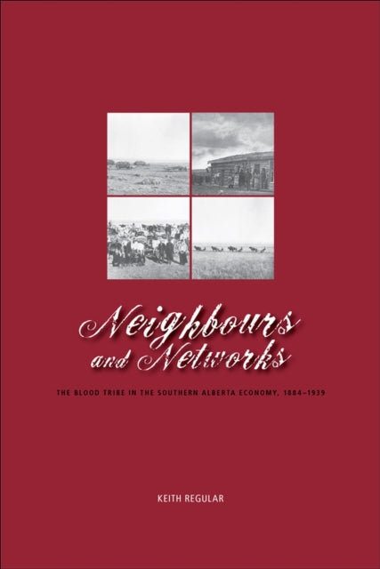 Book cover of: Neighbours and Networks. By: W. Keith Regular