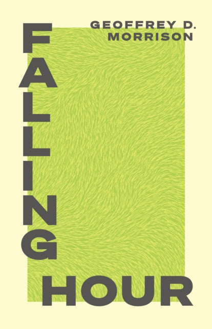 Book cover of: Falling Hour. By: Geoffrey Morrison