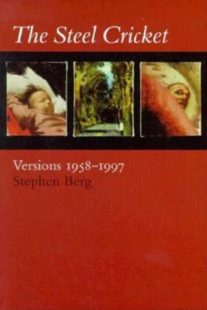 Book cover of: Steel Cricket