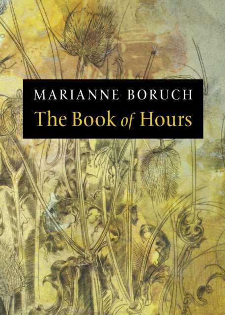 Book cover of: Book of Hours. By: Marianne Boruch