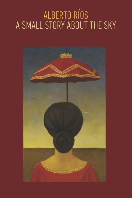Book cover of: Small Story about the Sky. By: Alberto Ríos