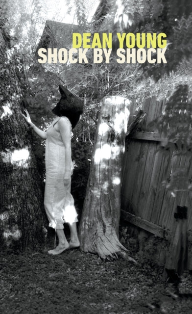Book cover of: Shock by Shock. By: Dean Young
