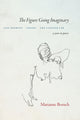 Book cover of: Figure Going Imaginary. By: Marianne Boruch