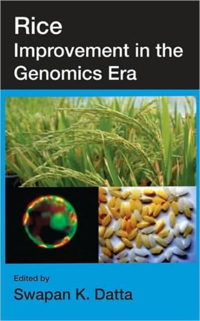 Book cover of: Rice Improvement in the Genomics Era