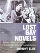 Book cover of: Lost Gay Novels