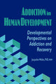 Book cover of: Addiction in Human Development