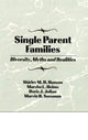 Book cover of: Single Parent Families