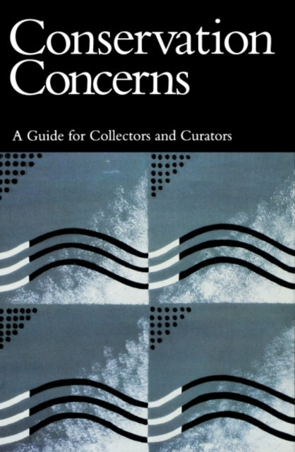 Book cover of: Conservation Concerns. By: Konstanze Bachmann