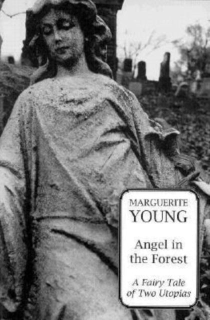 Book cover of: Angel in the Forest