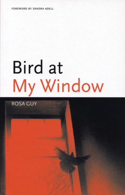 Book cover of: Bird at My Window