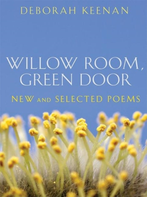 Book cover of: Willow Room, Green Door. By: Deborah Keenan