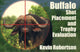 Book cover of: Buffalo: Shot Placemnt & Trphy Eval, Mini, so. By: Kevin Robertson