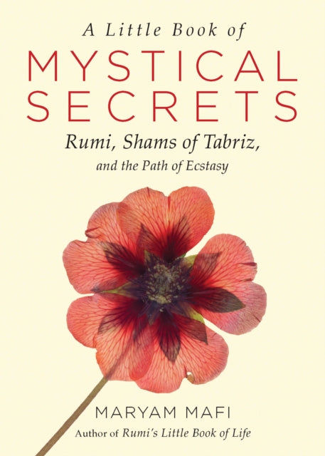 Book cover of: Little Book of Mystical Secrets. By: Maryam Mafi