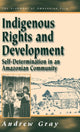 Book cover of: Indigenous Rights and Development