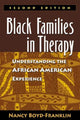 Book cover of: Black Families in Therapy, Second Edition. By: Nancy Boyd-Franklin