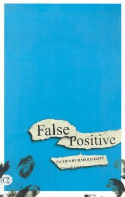 Book cover of: False Positive