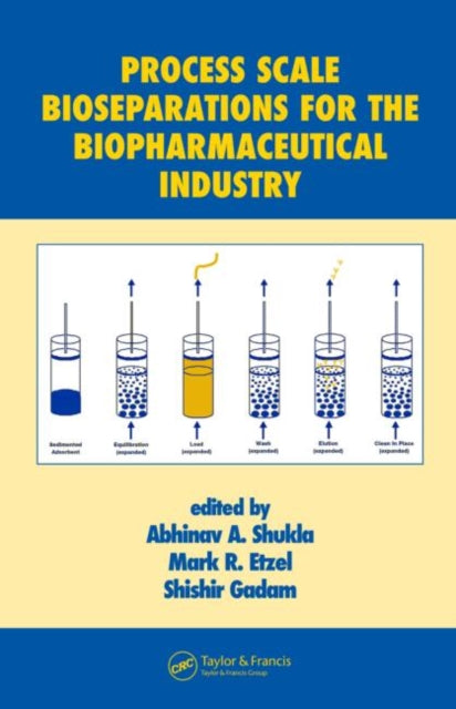 Book cover of: Process Scale Bioseparations for the Biopharmaceutical Industry