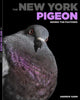 Book cover of: New York Pigeon. By: Andrew Garn