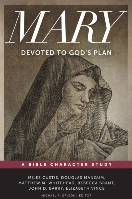 Book cover of: Devoted to God's Plan. By: Elizabeth Vince