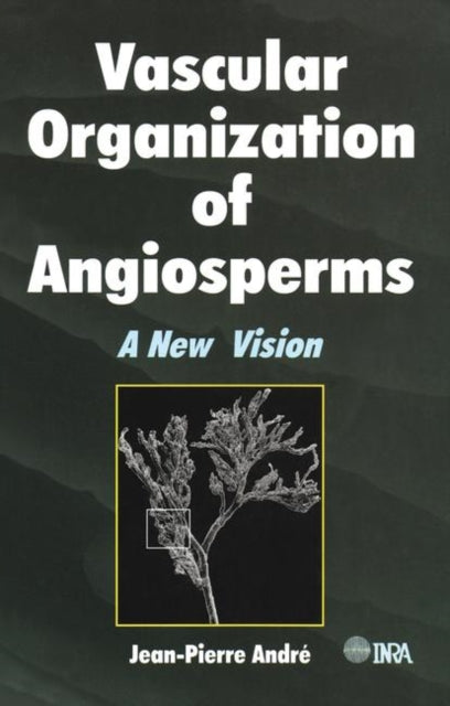 Book cover of: Vascular Organization of Angiosperms. By: Jean-Pierre Andre