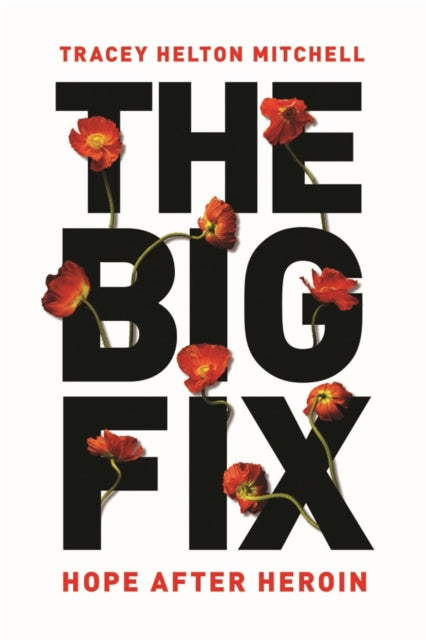 Book cover of: Big Fix. By: Tracey Helton Mitchell