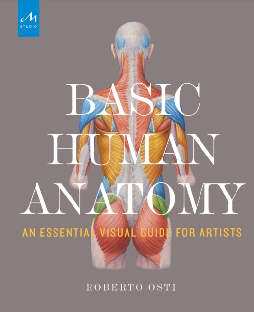 Book cover of: Basic Human Anatomy. By: Roberto Osti