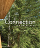Book cover of: Connection. By: C. C. Y. CCY Architects