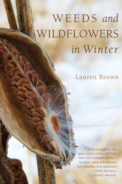Book cover of: Weeds and Wildflowers in Winter