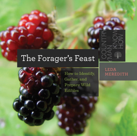 Book cover of: Forager's Feast. By: Leda Meredith