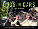 Book cover of: Dogs in Cars. By: Lara Jo Regan