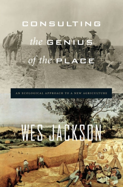 Book cover of: Consulting the Genius of the Place