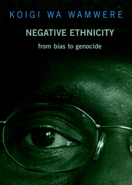 Book cover of: Negative Ethnicity