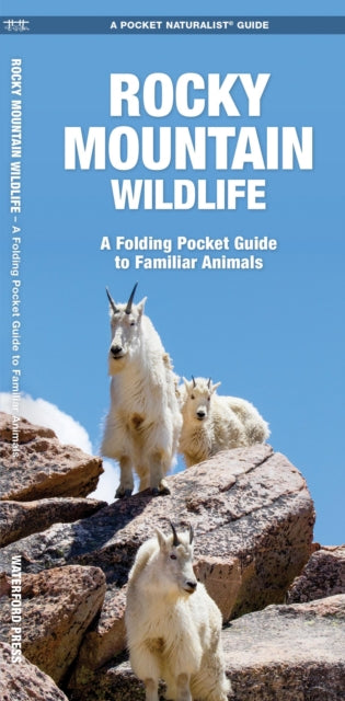Book cover of: Rocky Mountain Wildlife. By: James Kavanagh