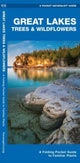 Book cover of: Great Lakes Trees & Wildflowers. By: James Kavanagh