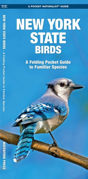 New York State Birds